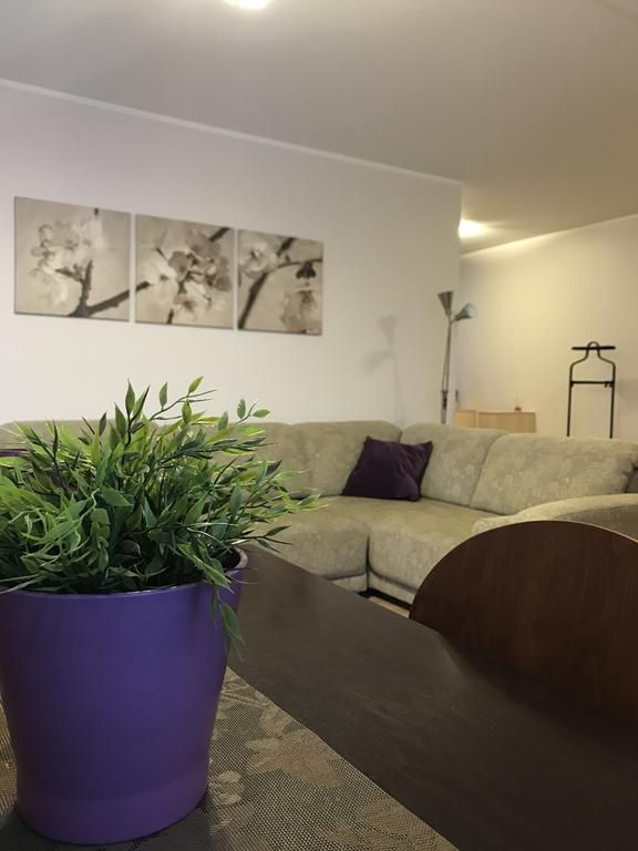 Saulys1 Apartment ดรูซกินินไก ภายนอก รูปภาพ